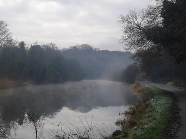 730540_10151315740166112_131287884_n