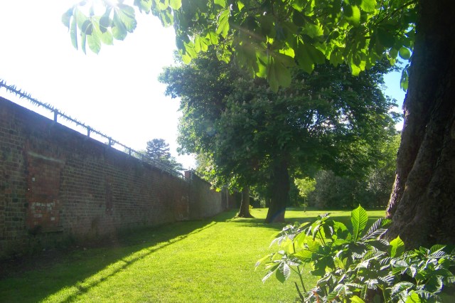 Ceardha Morgan Vernacularisms