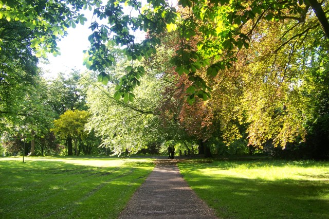 Ceardha Morgan Vernacularisms